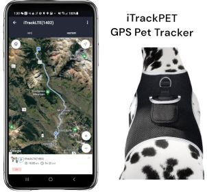 USB Rechargeable Collar Mount GSM GPS Waterproof Pet Locator Tracker Size:S