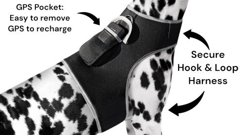 NEW Fashionable Designed Wireless Pet Tracker GPS GSM GPRS Pet Locator Size:S