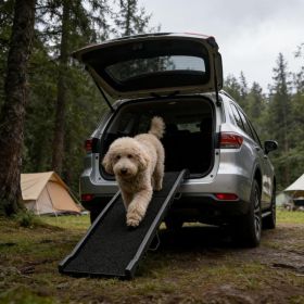 Pet Ramp,Pet Gentle Slope Ramp,Foldable Dog Car Ramp (Option: Black)